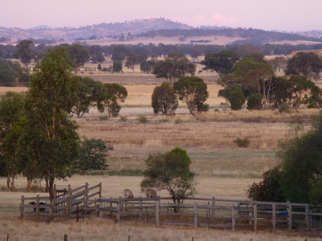 La Maison St Arnaud Rutherglen Dış mekan fotoğraf